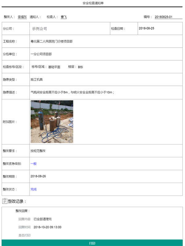 安全检查单详情.png